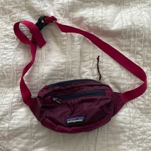 Patagonia Fanny Pack